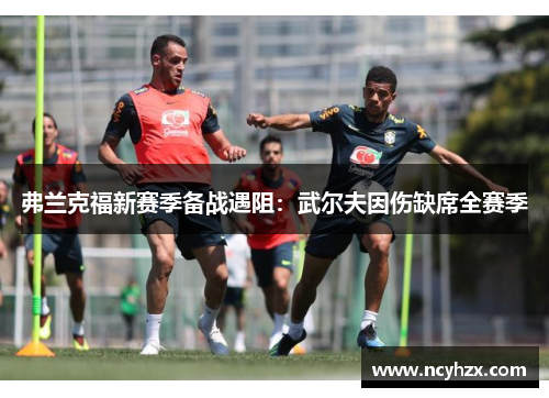 弗兰克福新赛季备战遇阻：武尔夫因伤缺席全赛季