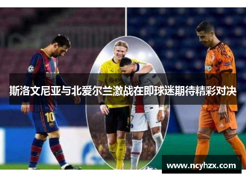 斯洛文尼亚与北爱尔兰激战在即球迷期待精彩对决