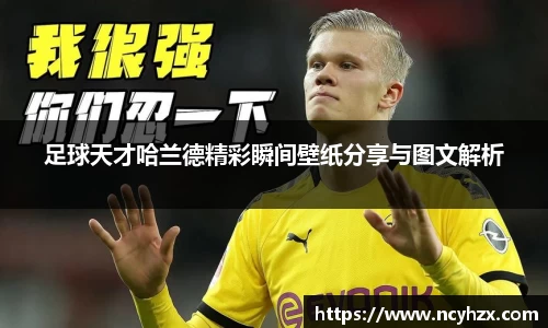 足球天才哈兰德精彩瞬间壁纸分享与图文解析